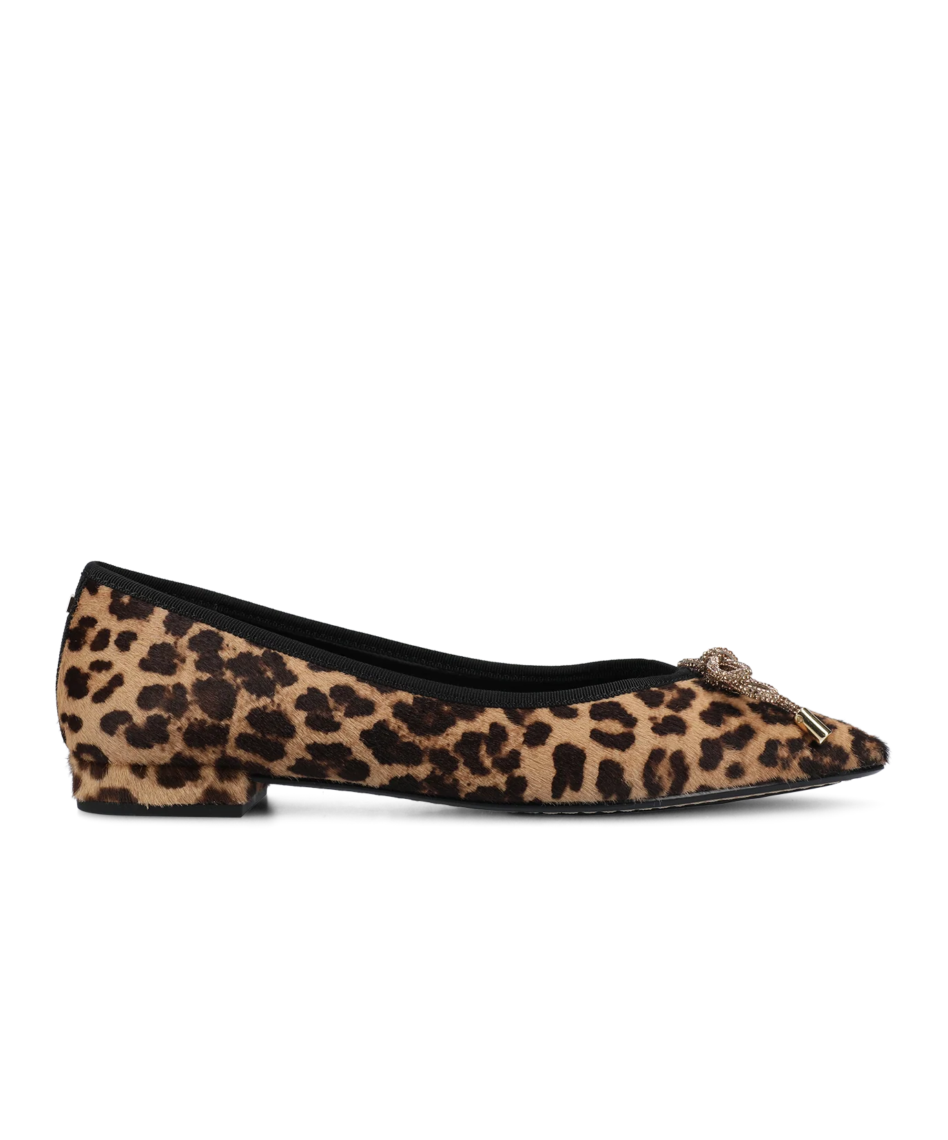 The Goldfinch 15 - Leopardprint Haircalf - Image 5